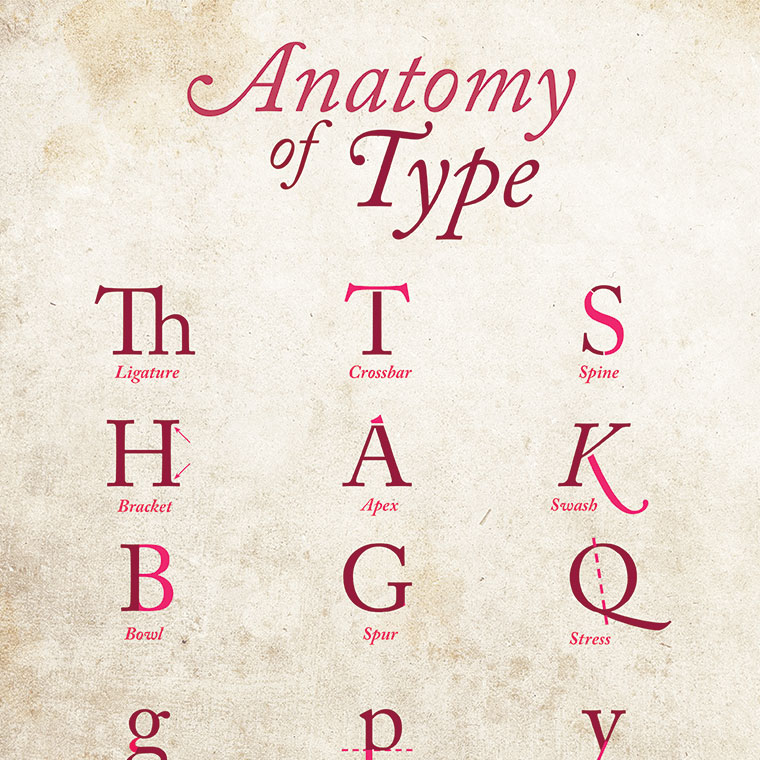 Anatomy of Type Poster